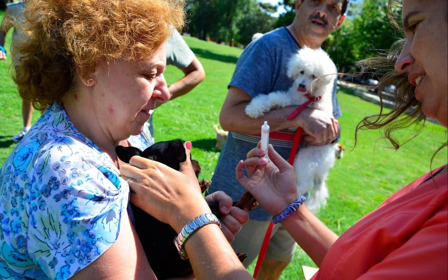 Se llevará a cabo la "I Jornada sobre Salud Pública Veterinaria"