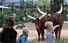 Artis zoo amsterdam
