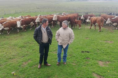 Jorge Sevillano, dueño de la cabaña Pirinaica, y Alejandro de La Tour, presidente de la asociación de los criadores de Hereford