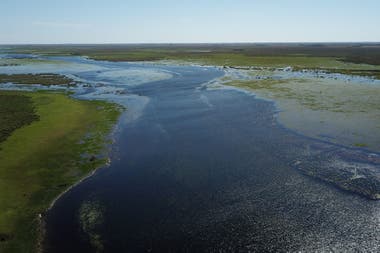 El Parque Nacional Esteros del Iberá tiene 183 500 hectáreas