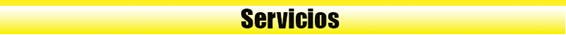 servicios