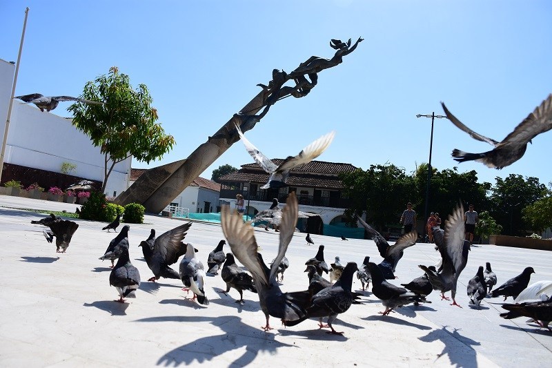 Una forma de prevenir las enfermedades transmitidas por las palomas es limpiar las zonas donde hay presencia de heces con abundante agua, evitando así la exposición al polvillo.FOTO/ NÉSTOR DE ÁVILA.
