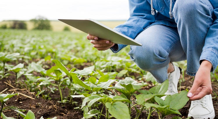 Mujer agricultora sobre el terreno. 