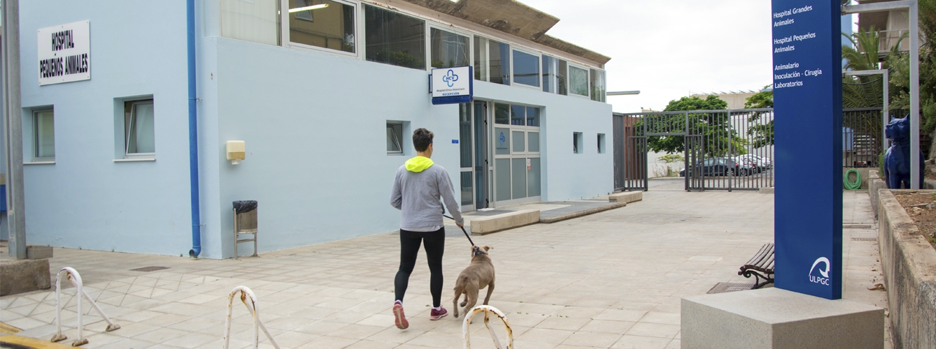 La Facultad de Veterinaria de la ULPGC ha obtenido la acreditación europea.