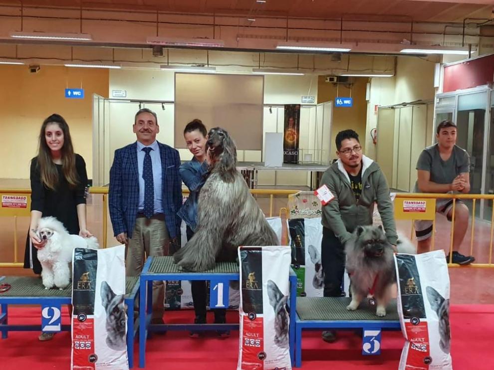 Los tres primeros clasificados en el concurso se han subido al podio.
