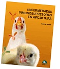 Sin título