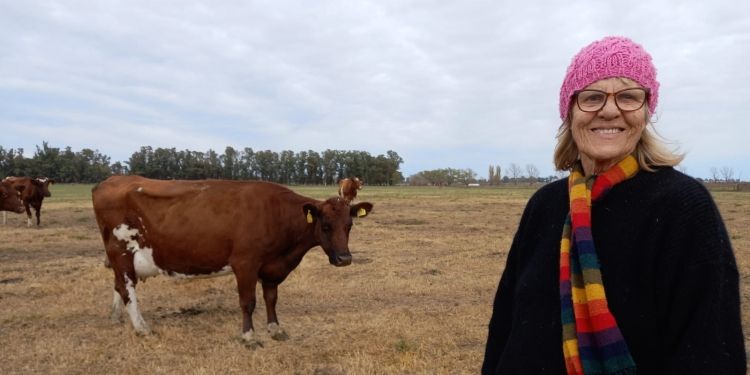 Entre suecas se entienden: Hace 35 años, Elisabeth Avendaño introdujo una raza lechera en la Argentina que destaca por su gran salud y llama la atención por sus tonos rojiblancos