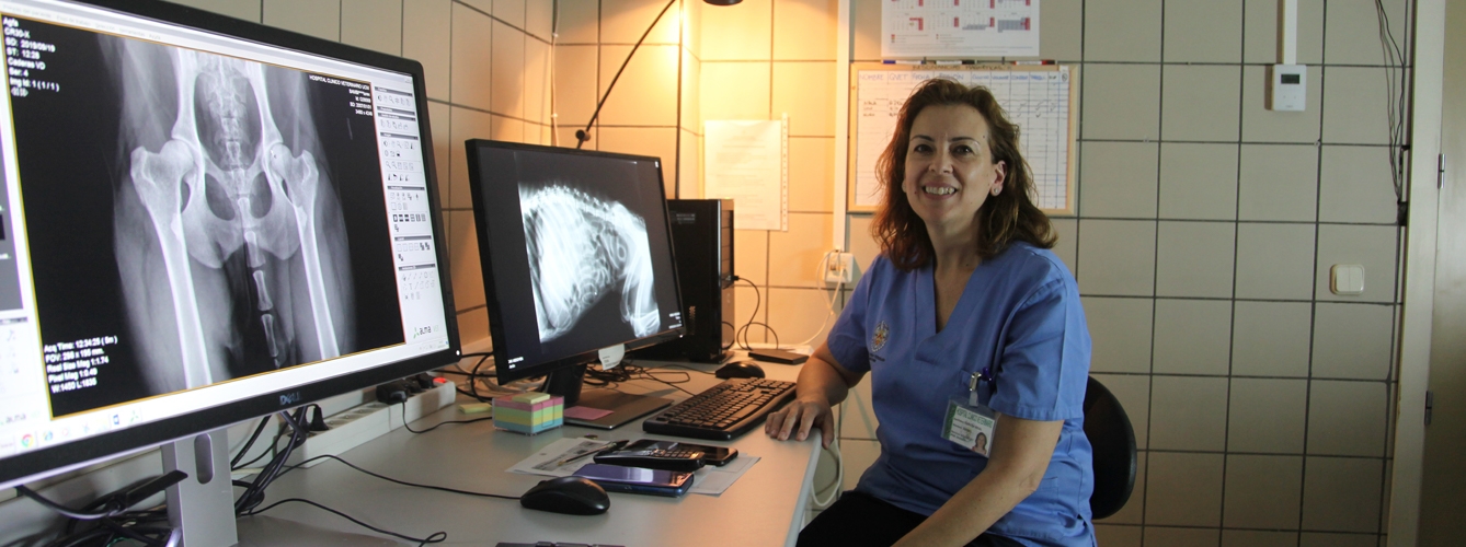 El curso estará dirigido por Isabel García Real, profesora de Radiología y Diagnóstico por Imagen de la Facultad de Veterinaria de la Universidad Complutense de Madrid. El curso estará dirigido por Isabel García Real, profesora de Radiología y Diagnóstico por Imagen de la Facultad de Veterinaria de la Universidad Complutense de Madrid.