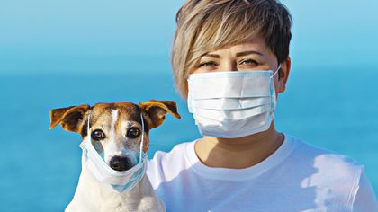Creció con la pandemia el interés de las personas en adoptar perros y gatos (Shutterstock)