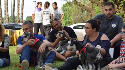 Las órdenes de quedarse en casa han afectado las conductas de billones de personas, y también parecen alterar las de sus mascotas (Criamas)