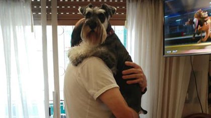 Criamas, Criadores Argentinos de Mascotas ofrece casi 50 razas, con certificación Pedigree (Criamas)