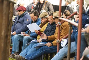 El público en la Exposición Internacional Braford 2022 en el predio de la Sociedad Rural de Corrientes