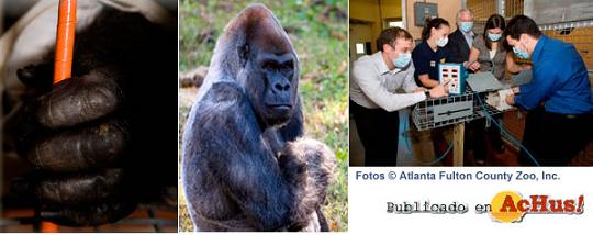 zoo 2