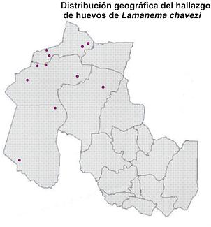 259 LLAMAS FOTO 8