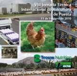 262 VII jornada t