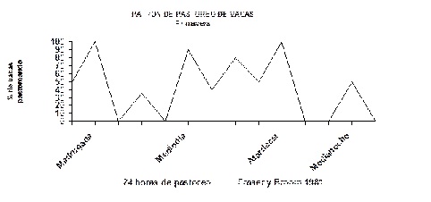 FORO UNO FORO UNO