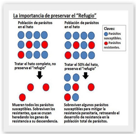 FORO UNO FORO UNO