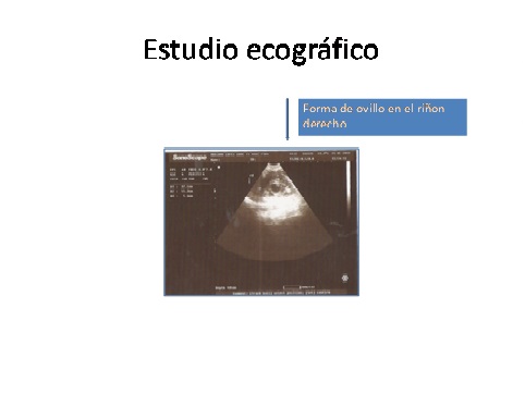 FORO UNO FORO UNO