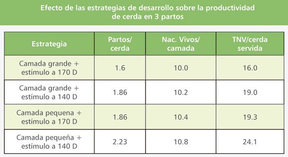 Sin título