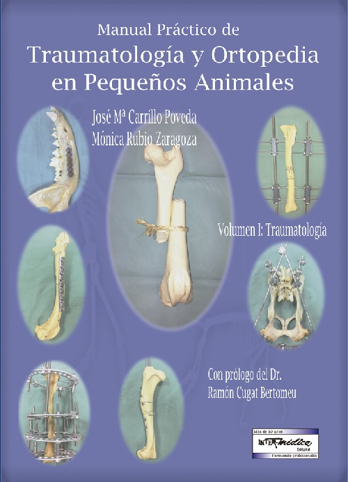 Sin título