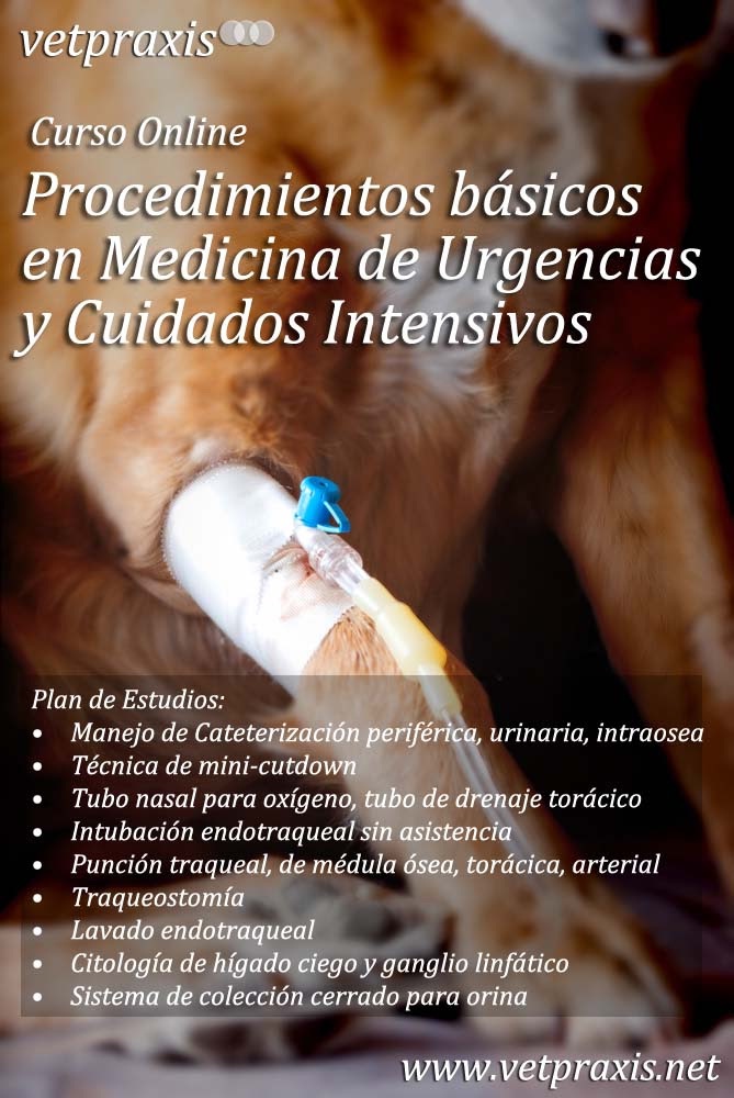 Sin título Sin título