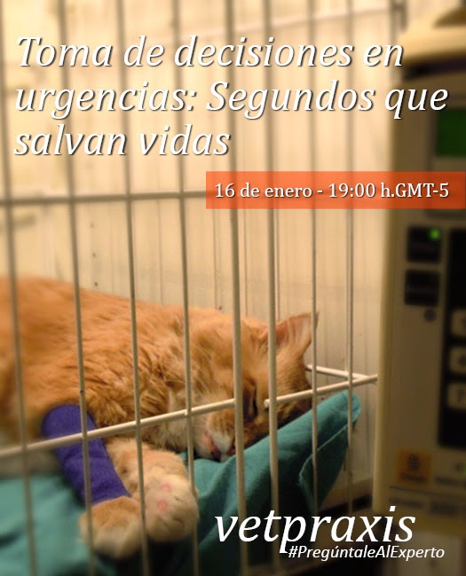 Sin título