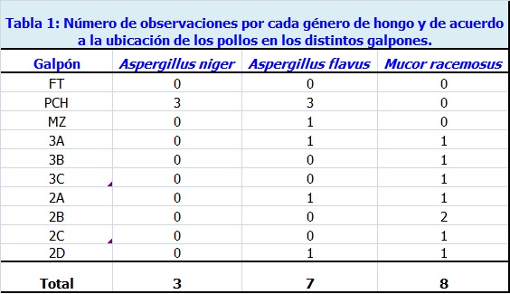 Sin título Sin título