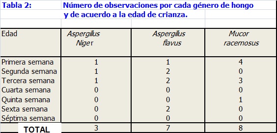 Sin título Sin título