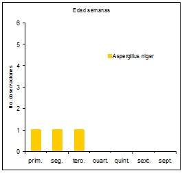 Sin título Figura 4: Número de observaciones de hongos Aspergillus niger, de acuerdo a la edad de crianza.