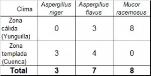 Tabla 3: Número de observaciones por cada género de hongo y de acuerdo al clima