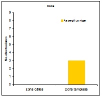 Sin título Figura 7: Número de observaciones de hongos Aspergillus niger, de acuerdo al clima.