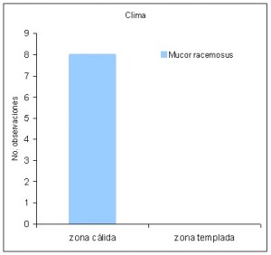 Figura 9: Número de observaciones de hongos Mucor racemosus, de acuerdo al clima.
