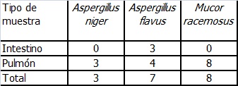 Sin título Tabla 4: Número de observaciones por cada género de hongo y de acuerdo al tipo de muestra.
