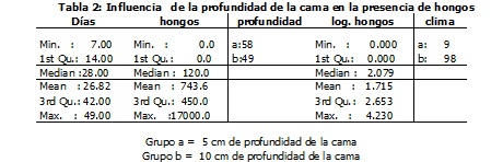 Sin título Sin título