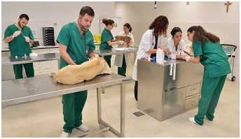 Sin título Entre las especialidades que incluye el nuevo centro veterinario de la Universidad Católica de Valencia “destacan la cirugía espinal, la cirugía laparascópica, el diagnóstico por imagen, la medicina interna, la oncología, la ortopedia y traumatología y la patología clínica”.