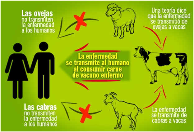 Sin título Sin título