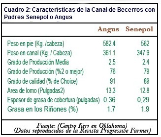 Sin título