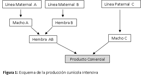 Sin título Sin título