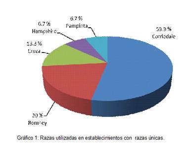 Sin título Sin título