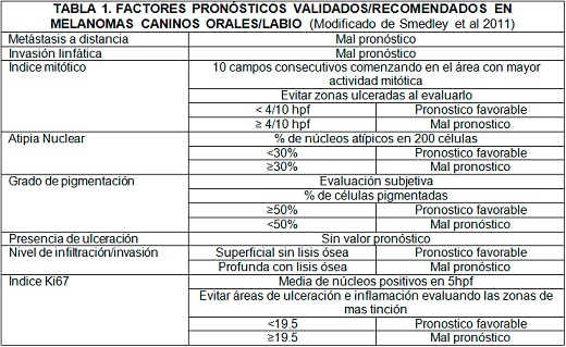 Sin título