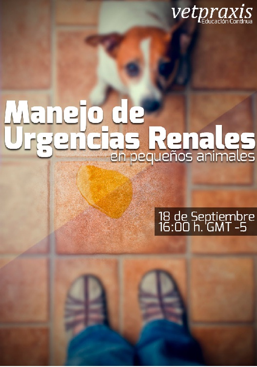 Sin título