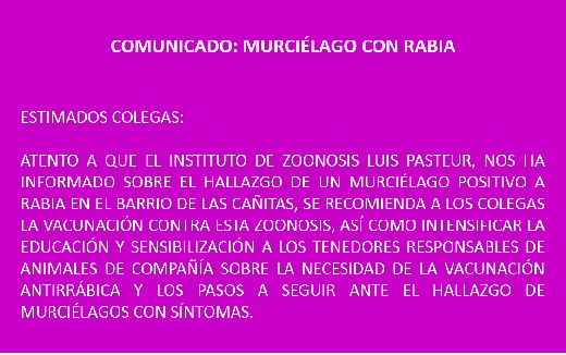 Sin título