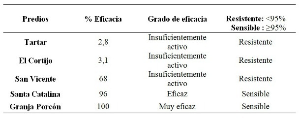 Sin título