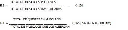Sin título