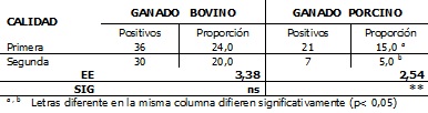 Sin título