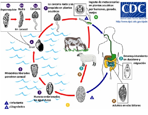 Sin título Sin título