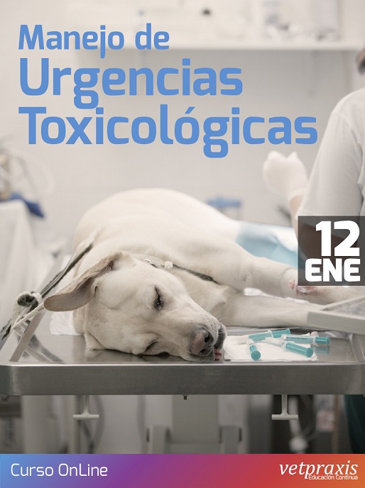 Sin título