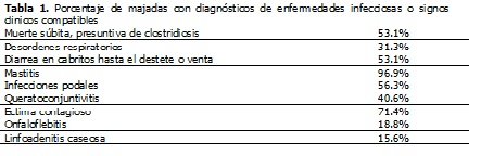Sin título