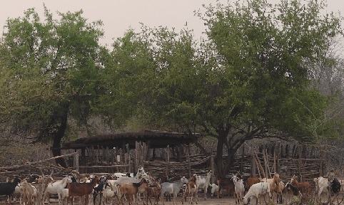 Chaco salteño.