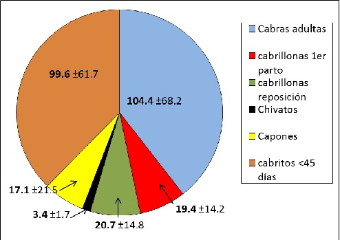 Figura 1: Promedio y DS de las existencias caprinas discriminadas por categorías.